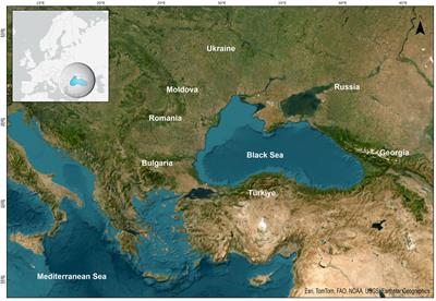 Implementing regional blue economy research and innovation strategies: a case study for the Black Sea